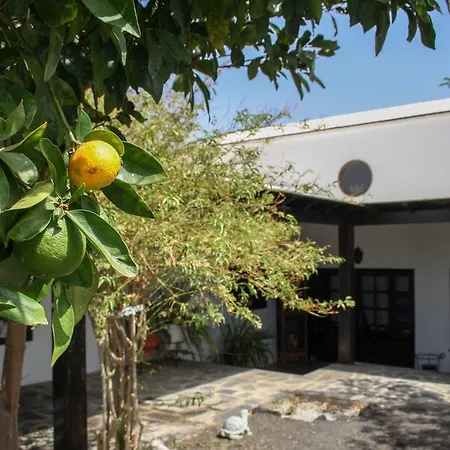 Casa Cris 別荘 プエルト・デル・カルメン